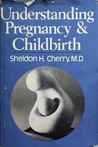 Image of Understanding Pregnancy & Childbirth